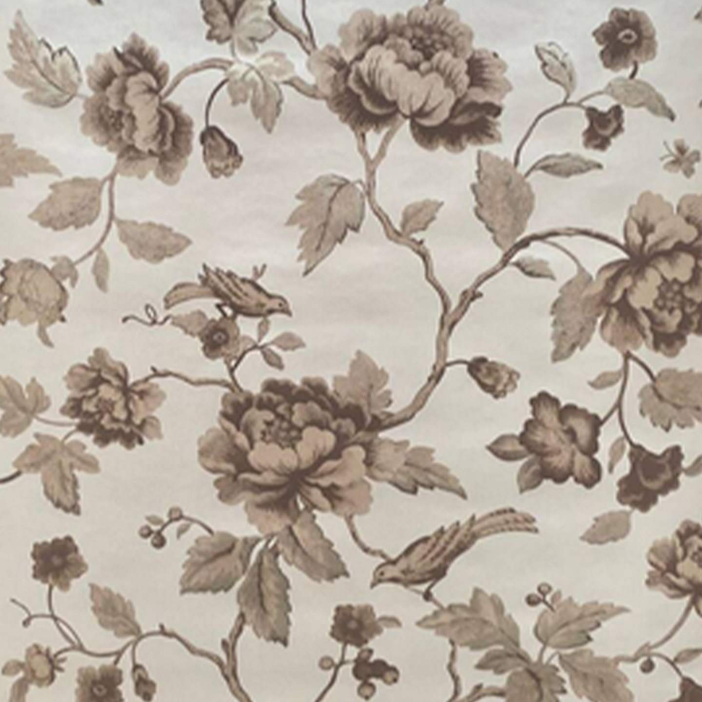 美国进口纯纸环保壁纸美式乡村田园花鸟床头电视沙发背景墙纸现货