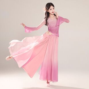 粉色渐变纱衣相思遥繁花演出服中国舞艺考套装 立春古典舞服装 新款