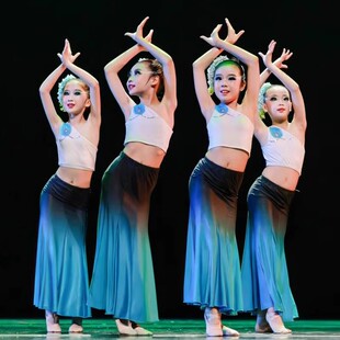 傣家小妹雨竹林演出服儿童傣族舞蹈三月三成人孔雀舞鱼尾裙子套装