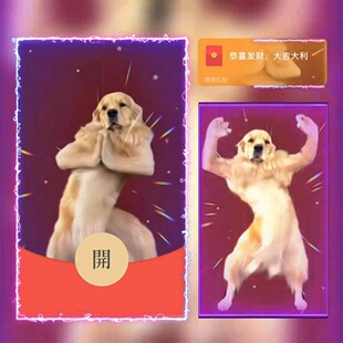 搞笑狗子跳舞红包封面微信序列号vx红包皮肤wx激活码2026新款动态