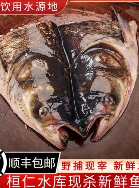 大鱼头胖头鱼新鲜鲜活剁椒鱼头