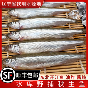 东北秋生子鱼水库野捕开江鱼淡水鱼东北春生子鱼冰鲜速冻顺丰包邮