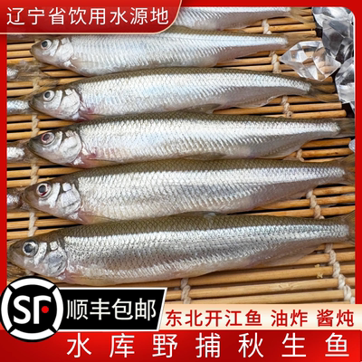 东北秋生子鱼水库野捕开江鱼淡水鱼东北春生子鱼冰鲜速冻顺丰包邮