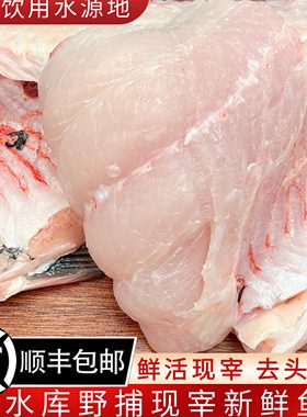 桓仁水库胖头鱼肉5斤 新鲜冷冻带骨鱼身鱼段鱼尾花鲢鱼肉鱼排包邮