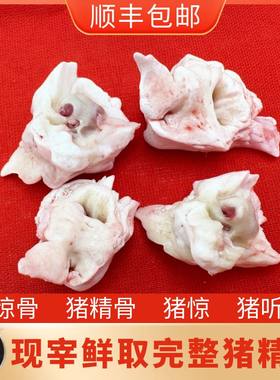 猪精骨 现宰现取原色未打磨  猪惊骨 猪听骨 猪惊 猪精 顺丰包邮