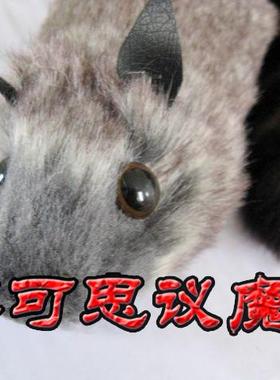 “小浣熊RUSK”MM们喜欢 ！浣熊 超搞笑精品互动把妹 魔术道具