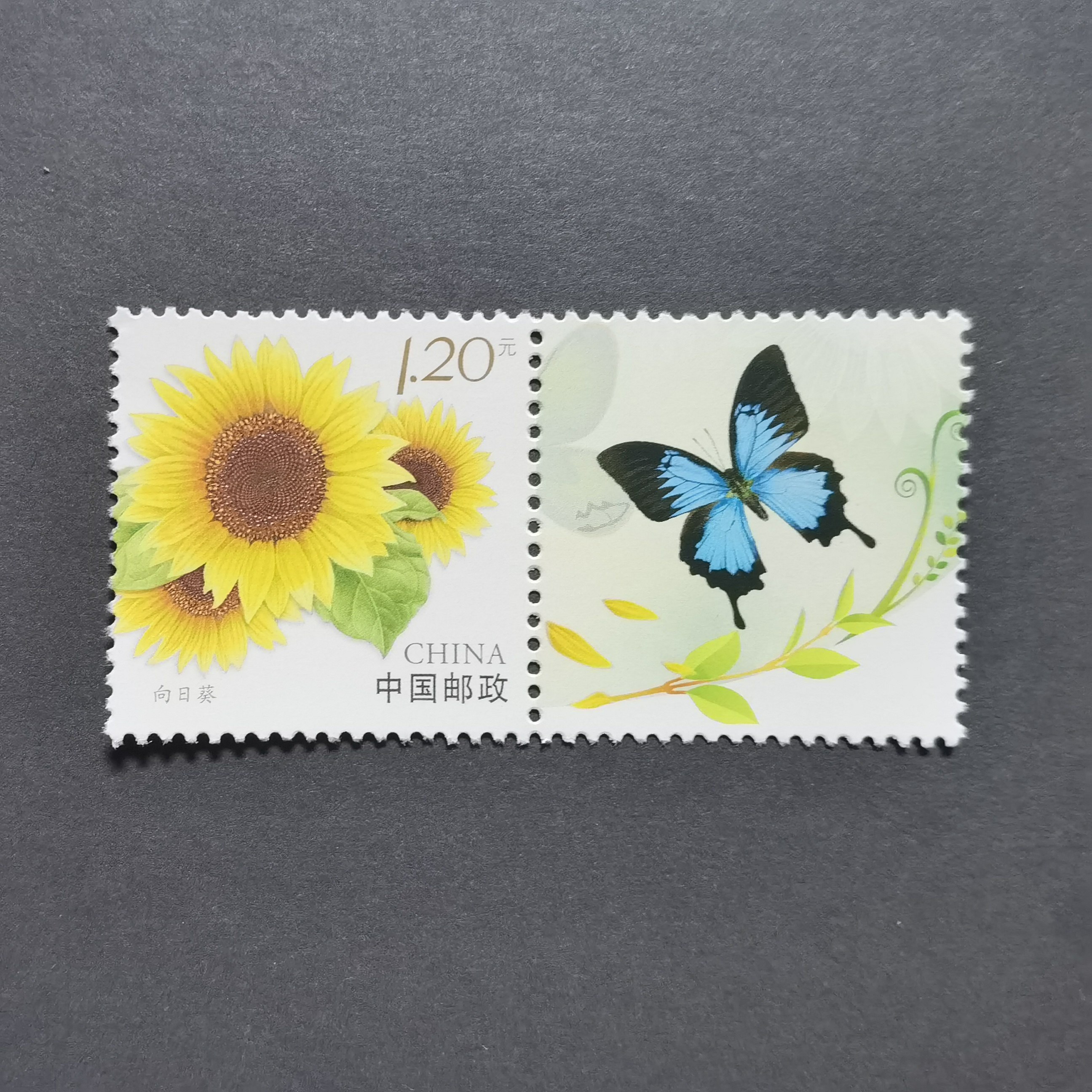 十个勤天 后陡门邮局邮票 向日葵 大帅哥