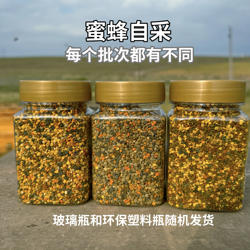 【天山草原百花花粉】新疆新货｜野玫瑰农家自产党参贝母花粉