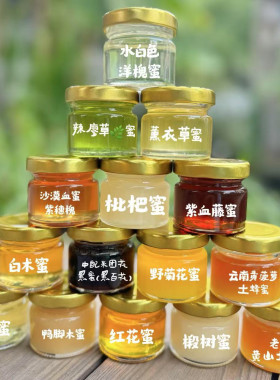 【全家福】mini15种珍惜蜂蜜试吃装/花香蜜香不重样/黑蜜/土蜂蜜
