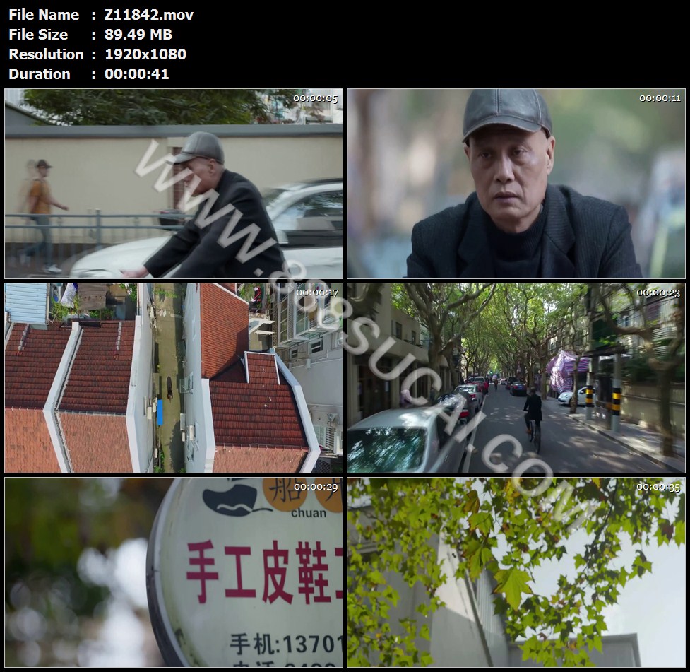 上海老弄堂老人骑自行车骑行大街梧桐树叶蜗牛高清实拍视频素材