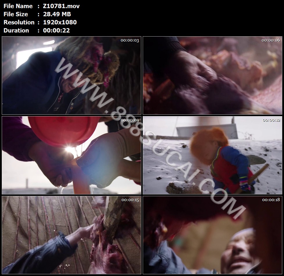 草原牧民切割马肉灌马肠风干晾晒马肉猫吃肉高清实拍视频素材