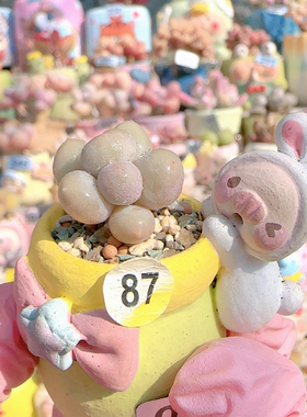 H 米可奶盆口2.5c m