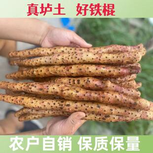 正宗河南焦作温县垆土铁棍怀山药新鲜5斤淮山特产整箱食材硬铁杆