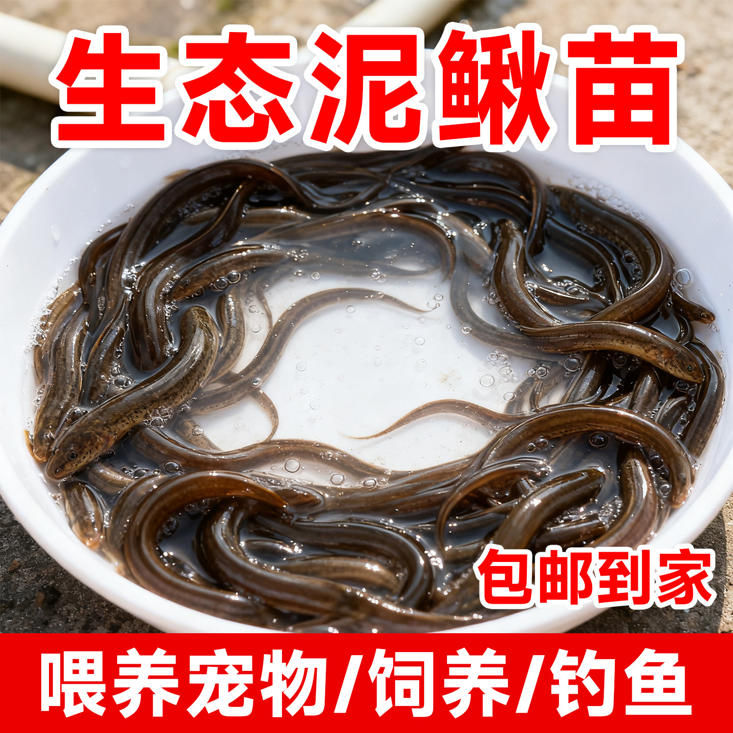 泥鳅苗鲜活喂养宠物钓鱼龙鱼活饵乌龟饲料泥鳅养殖淡水观赏鱼垂钓,户外/登山/野营/旅行用品,活饵/谷麦饵等饵料,淘宝优惠券,粉丝福利购,淘宝优惠卷