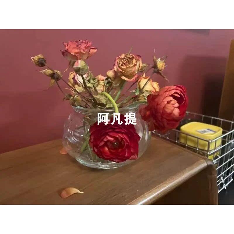 宜家维利斯塔花瓶透明玻璃装饰