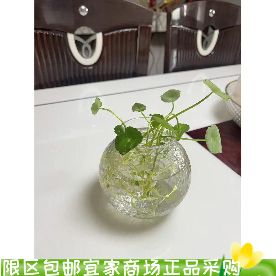宜家孔思福 花瓶 透明玻璃/图案摆件客厅插花ins网红水晶花器水养