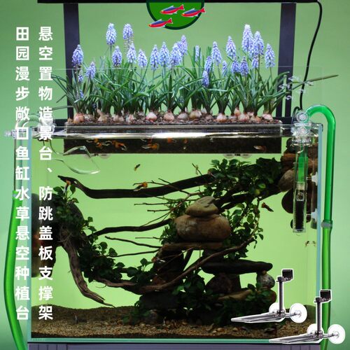 水草悬空种植台、悬空造景台