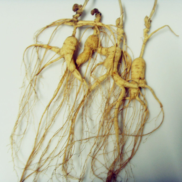 吉林通化长白山干人参 移山参补品30元一棵 产地销售