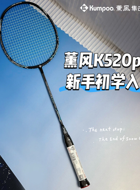 薰风k520pro羽毛球拍正品全碳素纤维超轻儿童小学生成人专用单拍