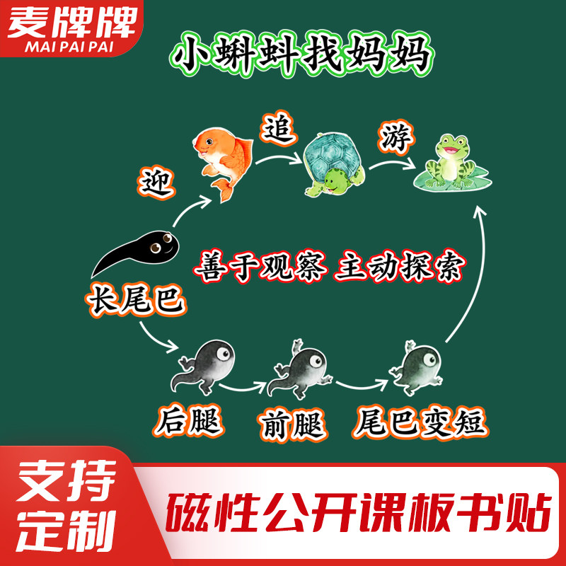 小蝌蚪找妈妈小学二年级语文上册老师公开课板书磁性贴黑板贴教具