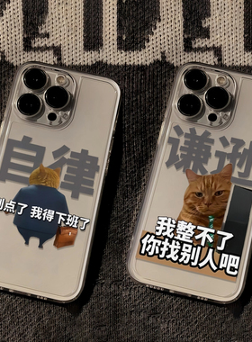搞笑猫咪狗狗手机壳苹果iPhone透明软壳可爱个性小众保护套适用苹果17promax/16/15/14plus/13/12/11/xr/xs女