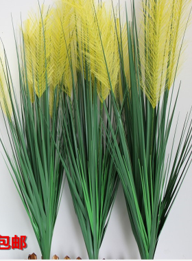 田园落地绿色植物干花狗尾巴草