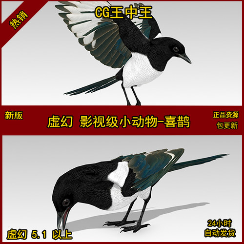 虚幻5 UE5 影视级 写实 小动物 鸟 喜鹊 飞行 动画 模型 素材包