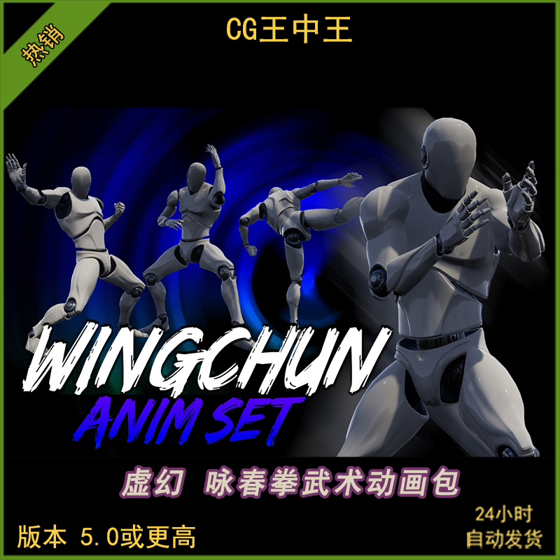 UE5虚幻5.0-5.5+古武咏春拳中国武术近战功夫格斗姿势动画包