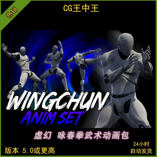 UE5虚幻5.0-5.8+古武咏春拳中国武术近战功夫格斗姿势动画包