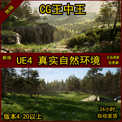 UE4虚幻 AAA级 苏格兰松树森林生物群落 Scots Pine Forest Biome