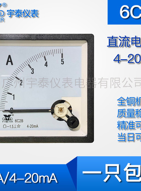 6C2B 4-20ma输入直流电流表5a 25a 100a 500a进口款白色变频器