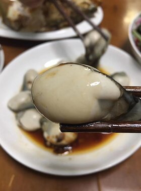 汫洲精选生蚝鲜活10斤广东包邮精品珠蚝牡蛎大生蚝肉水产海鲜批发