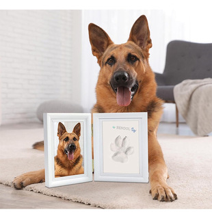 宠物爪印纪念相框照片印泥留念手印画框宠物往生相片爪印留念品