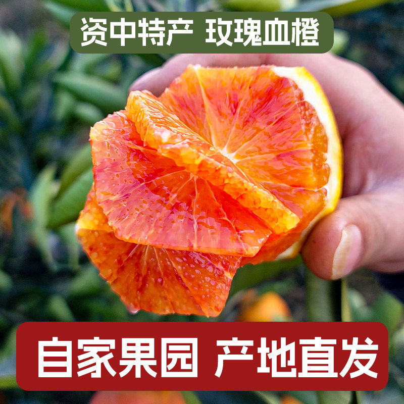 果园直发资中血橙新鲜水果年货礼盒装塔罗科四川特产橙子10斤整箱,水产肉类/新鲜蔬果/熟食,橙,淘宝优惠券,粉丝福利购,淘宝优惠卷
