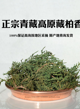 正宗青藏高原藏柏香树枝叶供养水晶房屋净宅除污秽气净化空气煨桑