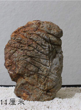 灵璧石莲花瓣原石精品象形石人物石老人褶皱天然奇石岁月沧桑B4