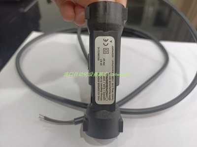 流量开关HonsbergFW1-015GP006-1