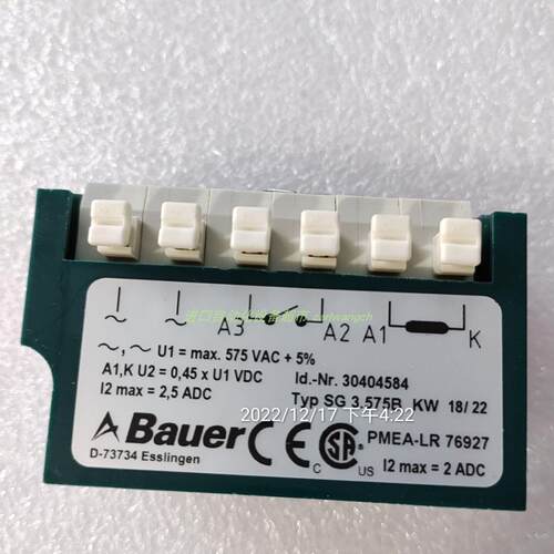 BK10-31V/D09LA4电机BAUER