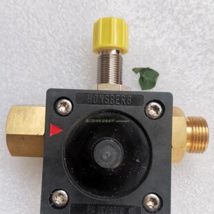 HONSBERG FW1-015GM006流量开关TER PFB9067E0162017限位开关