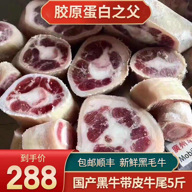5斤国产黑牛安格斯滋补带皮牛尾