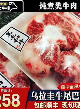 包邮4斤乌拉圭安格斯牛尾巴