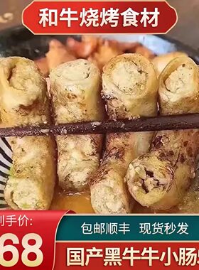 包邮5斤雪龙黑牛m9牛小肠和牛谷饲900天烧烤日式韩式烤肉清真口粮