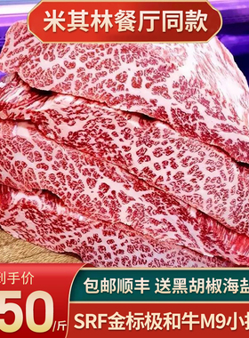 包邮6斤美国srf金标m9雪花霜降极和牛霜降肩胛牛小排原切牛肉口粮