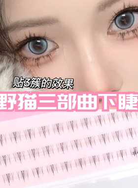 小野猫自然仿真懒人假睫毛