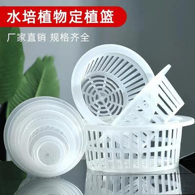水培定植篮无土植物玻璃花瓶定植篮种植篮绿萝吊兰器皿圆形固根器