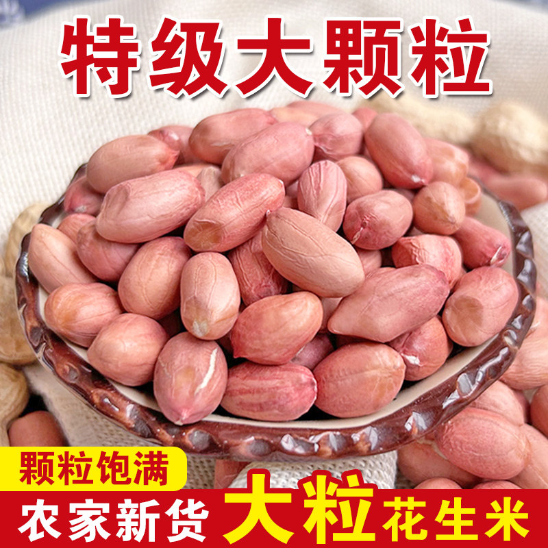 2025年山东大花生米新货大颗粒长粒生花生仁农家特产优质红皮花生