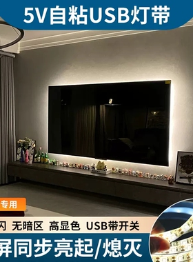 LED灯带电视机氛围灯带自粘显示器usb接口5V低压乔迁TV背装饰灯条