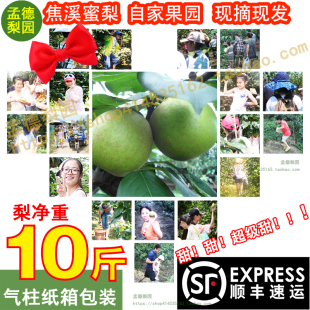 【孟德梨园】正宗常州焦溪蜜梨翠冠梨82梨青皮梨新鲜现摘水果特产