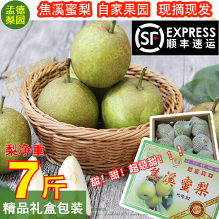 【孟德梨园】精品礼盒装正宗常州焦溪蜜梨翠冠梨82梨青皮梨现摘