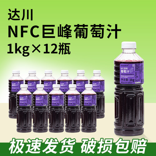 达川NFC冷冻葡萄油柑汁商用整箱